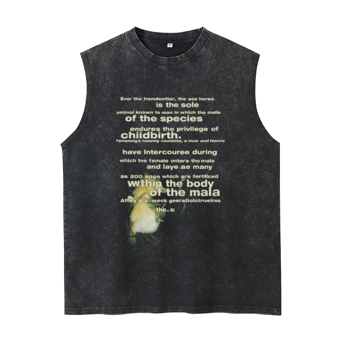 Seahorse Reproduction Graphic Unisex Washed Tank Top — product image showing the a seahorse reproduction-themed graphic design