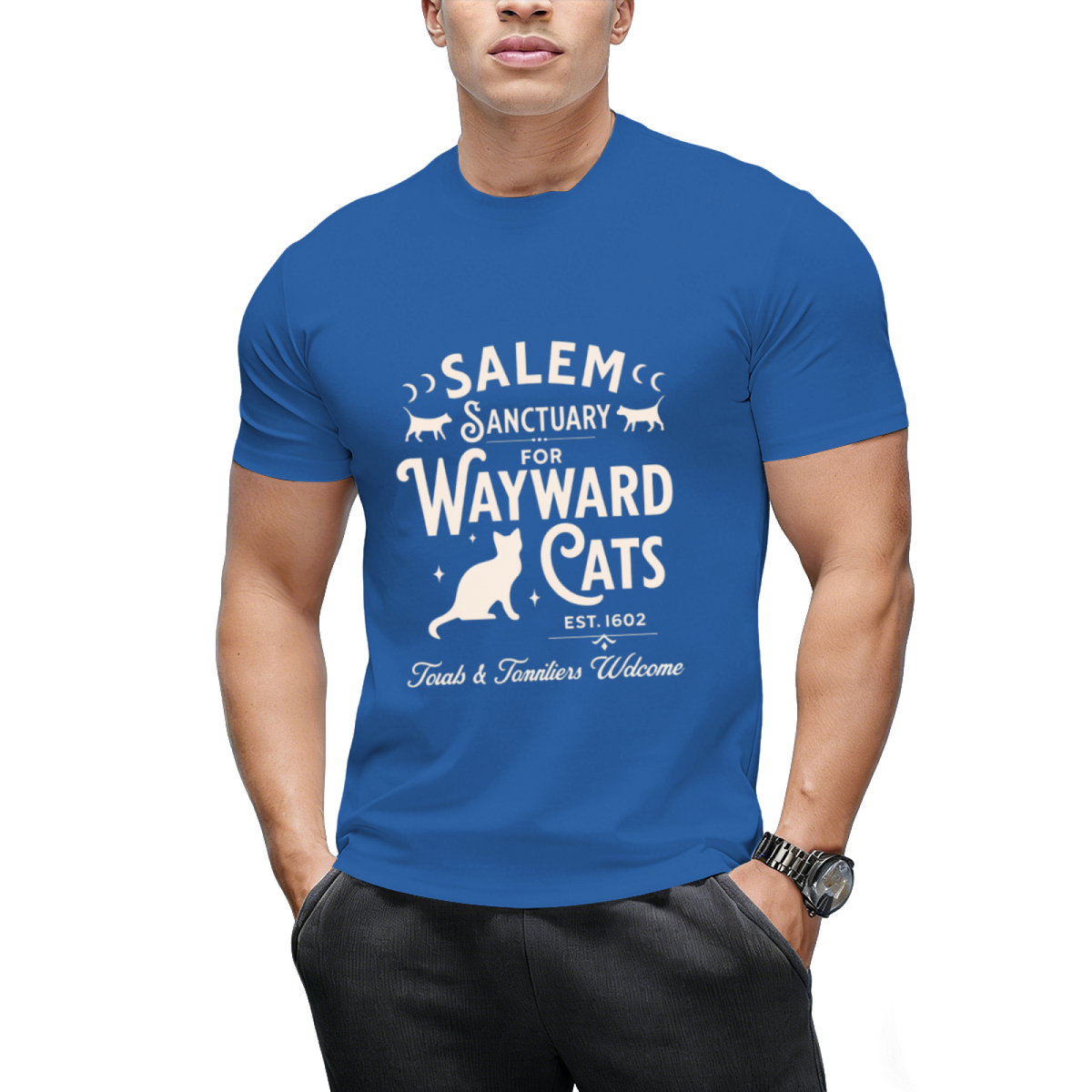 Salem Sanctuary for Wayward Cats Dark Graphic T-Shirt