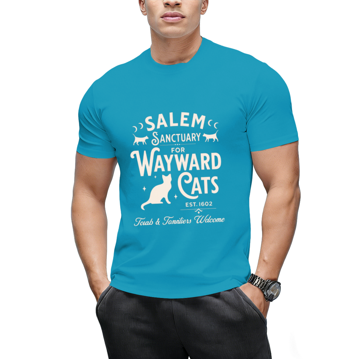 Salem Sanctuary for Wayward Cats Dark Graphic T-Shirt
