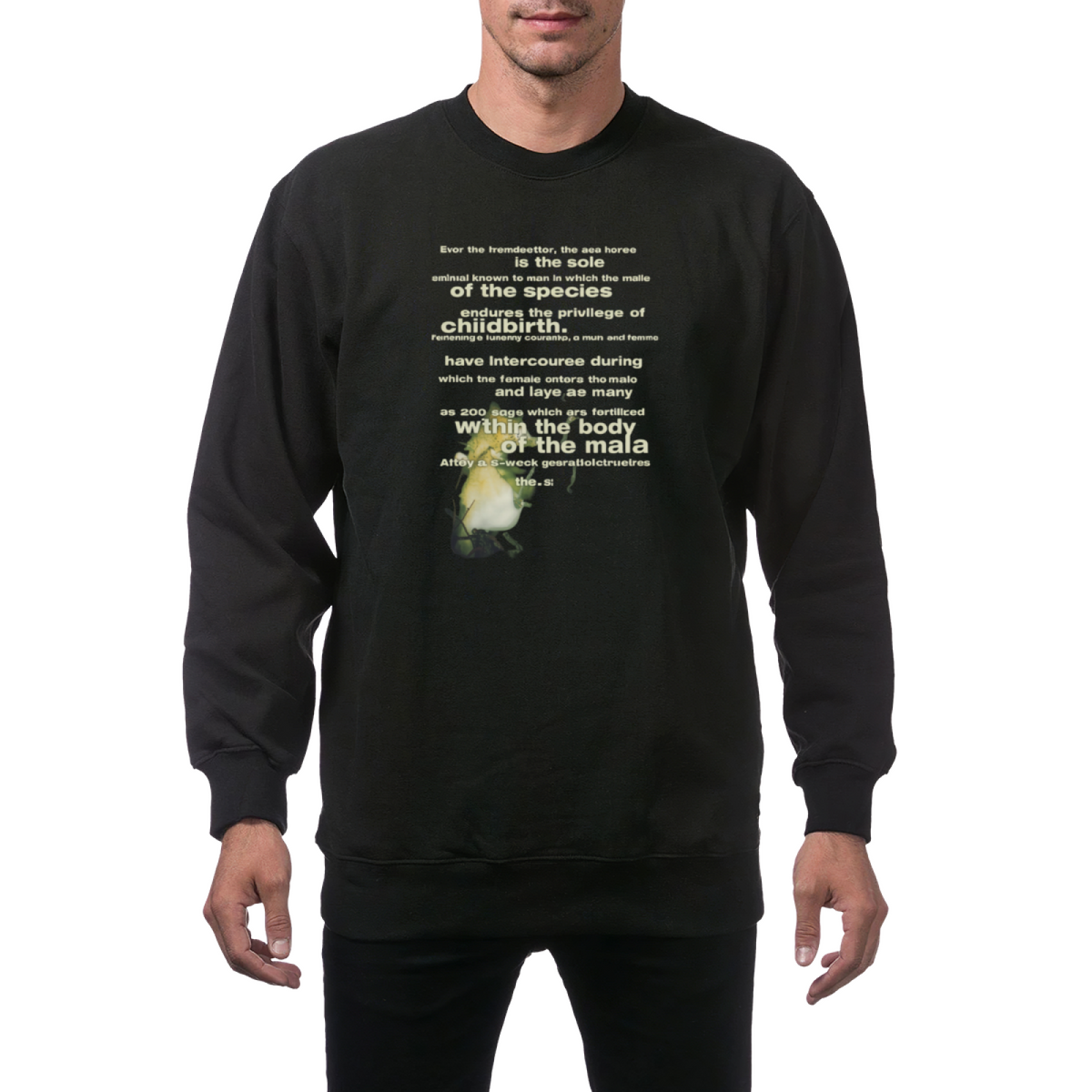Artwork preview for Seahorse Grunge Art Crewneck Sweatshirt