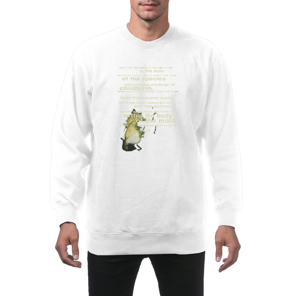 Seahorse Graphic Crewneck Sweatshirt – Grunge Artwork