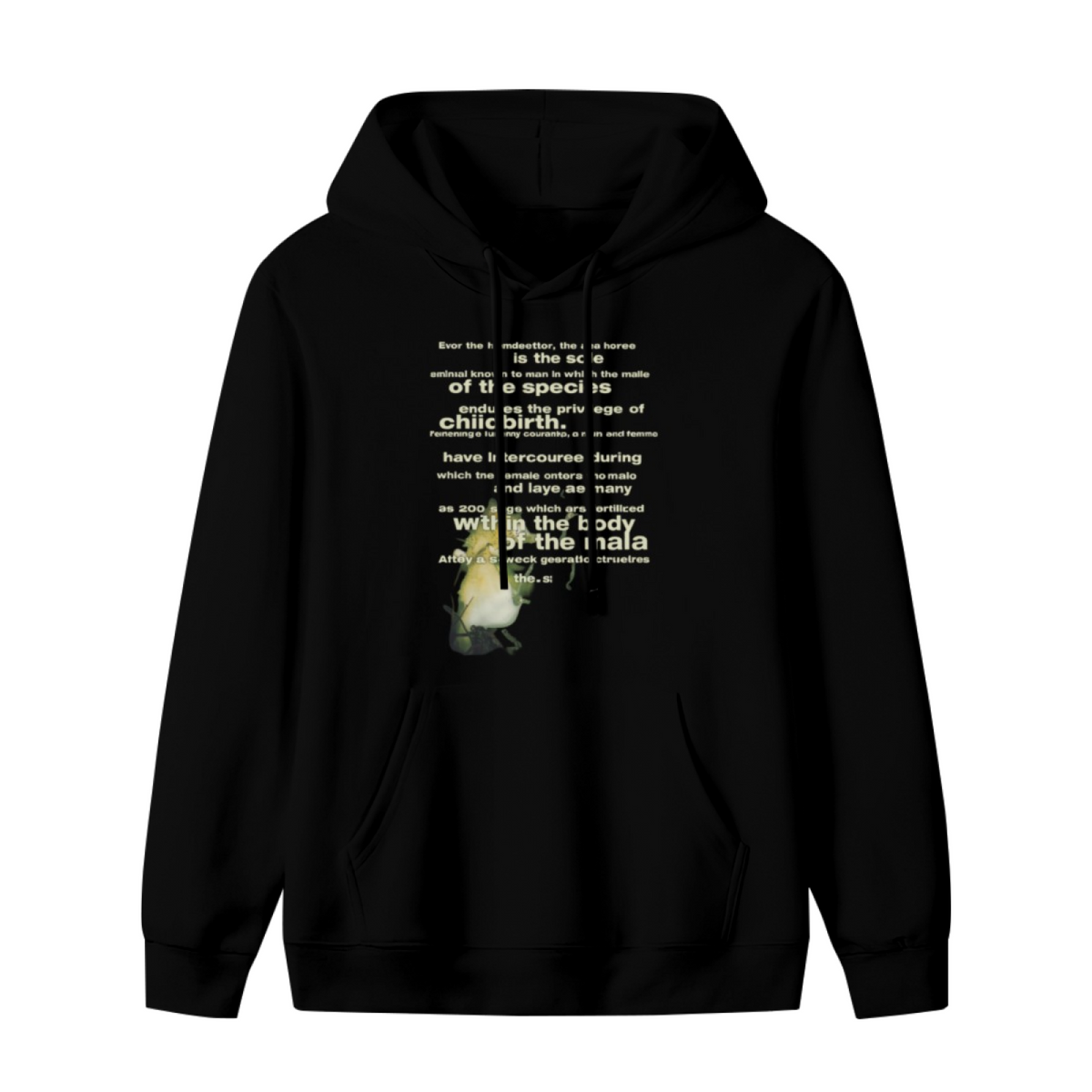Vintage Seahorse Illustration Hoodie, product image featuring the a different kind of vintage graphic design