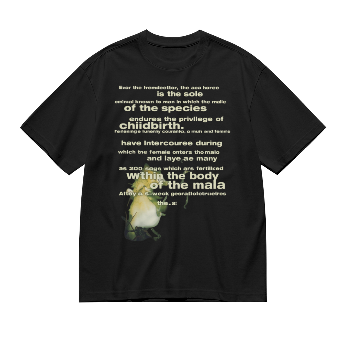 Graphic T-shirt product image with vintage seahorse illustration artwork