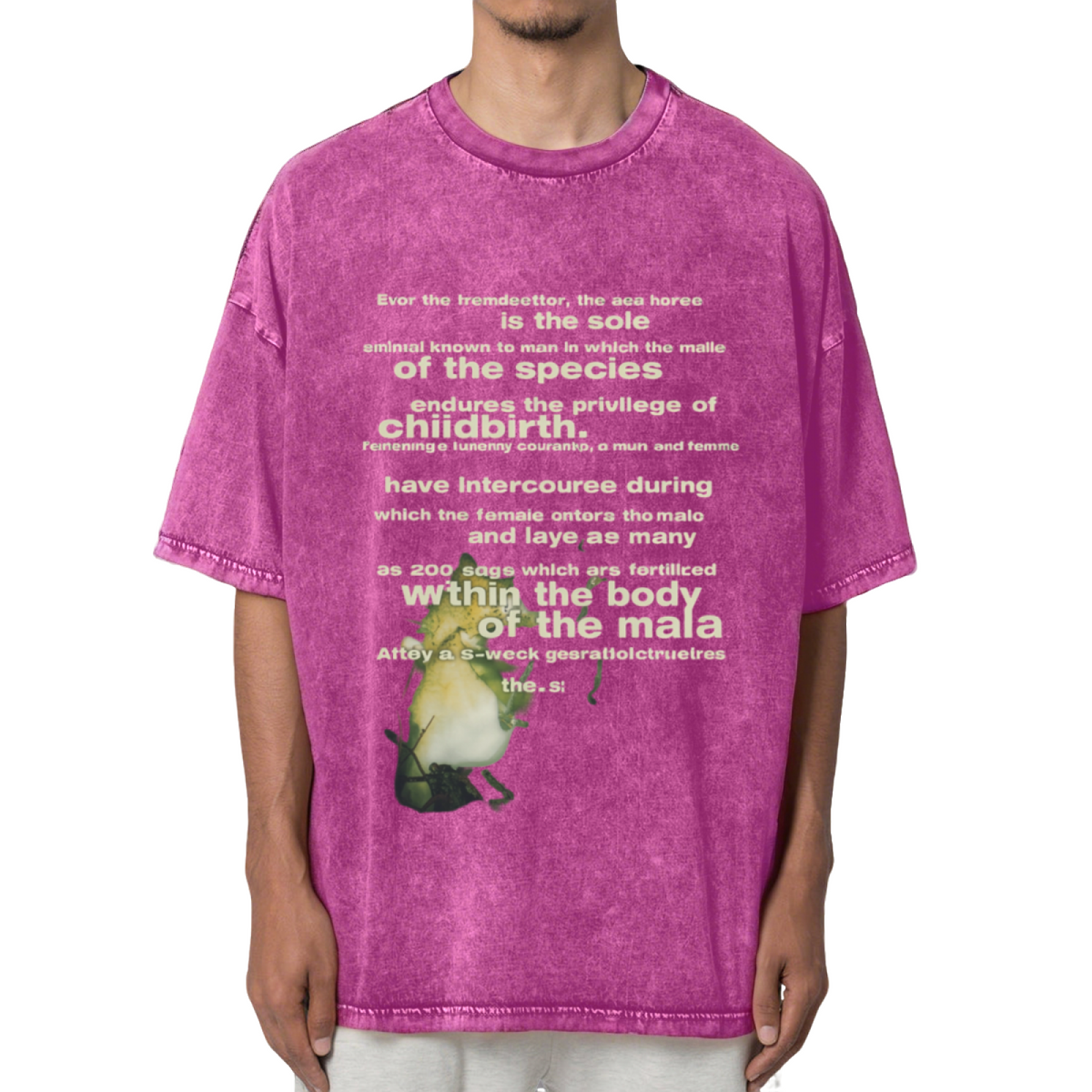 Nirvana Seahorse Text Washed Graphic Tee