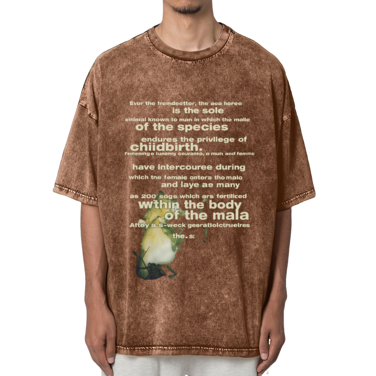 Nirvana Seahorse Text Washed Graphic Tee