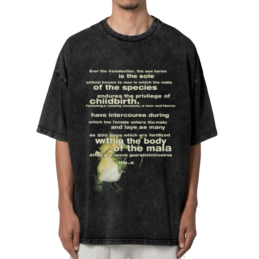 Nirvana Seahorse Text Washed Graphic Tee in Black, product image showing a seahorse-related Reproduction typography graphic.