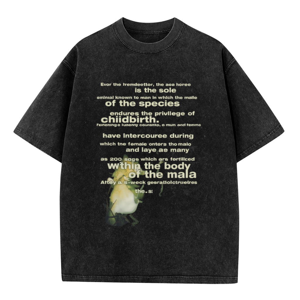 Nirvana Seahorse Text Washed Graphic Tee in Black, product image showing a seahorse-related Reproduction typography graphic.