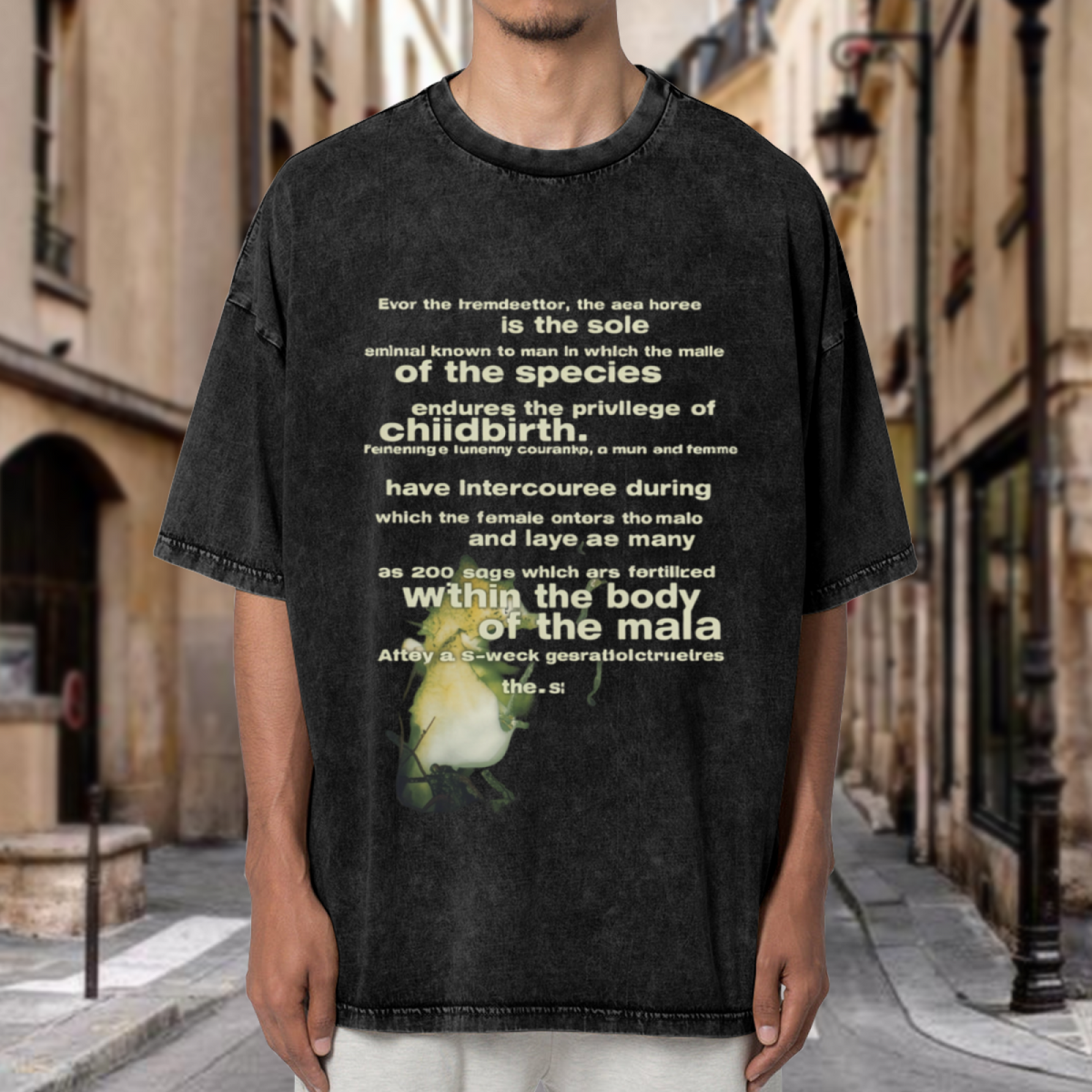 Nirvana Seahorse Text Washed Graphic Tee in Black, product image showing a seahorse-related Reproduction typography graphic.