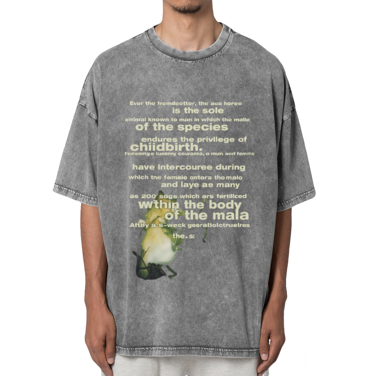 Nirvana Seahorse Text Washed Graphic Tee