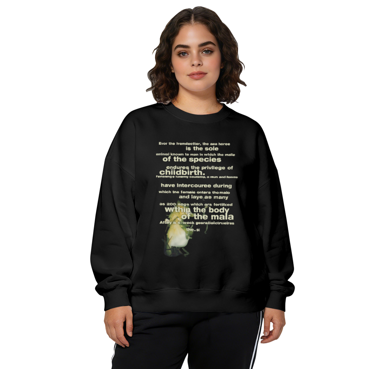 Crewneck sweatshirt product image with seahorse illustration and vintage-style lettering