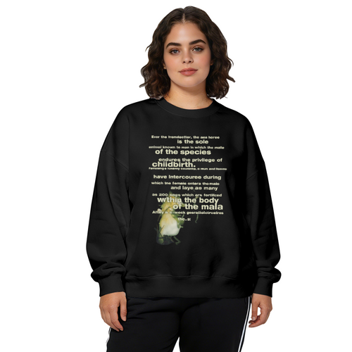 Crewneck sweatshirt product image with seahorse illustration and vintage-style lettering