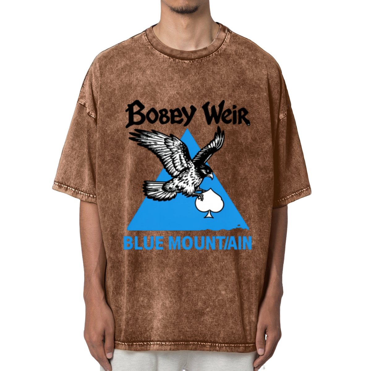 Grateful Dead Blue Mountain Eagle Washed Graphic T-Shirt