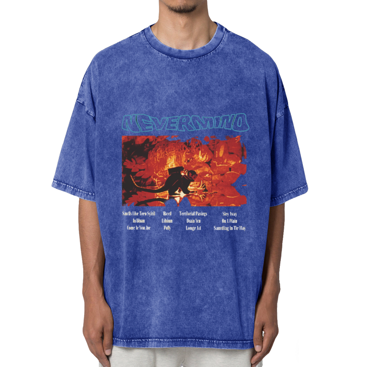 Nirvana Nevermind Concert Washed Graphic Tee