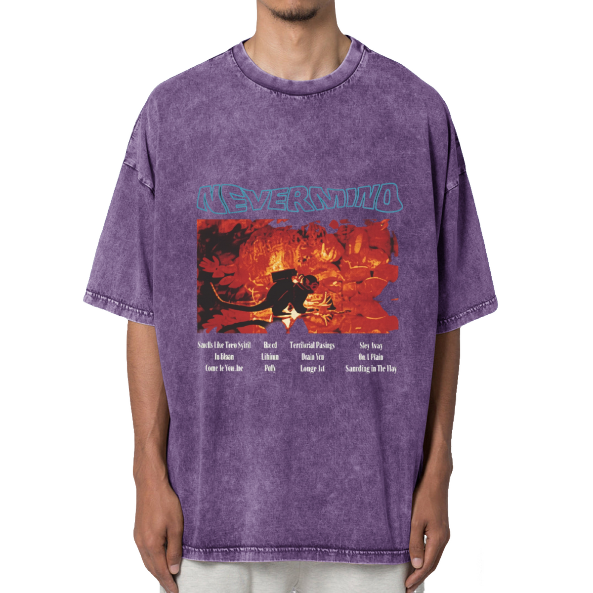 Nirvana Nevermind Concert Washed Graphic Tee