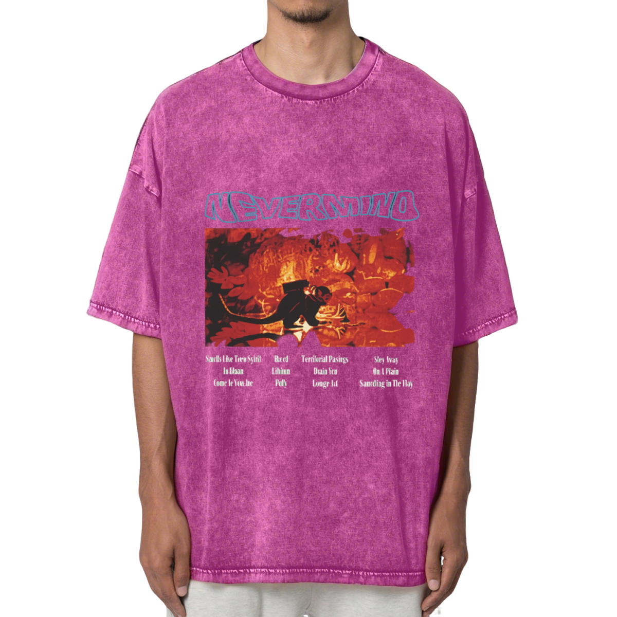 Nirvana Nevermind Concert Washed Graphic Tee