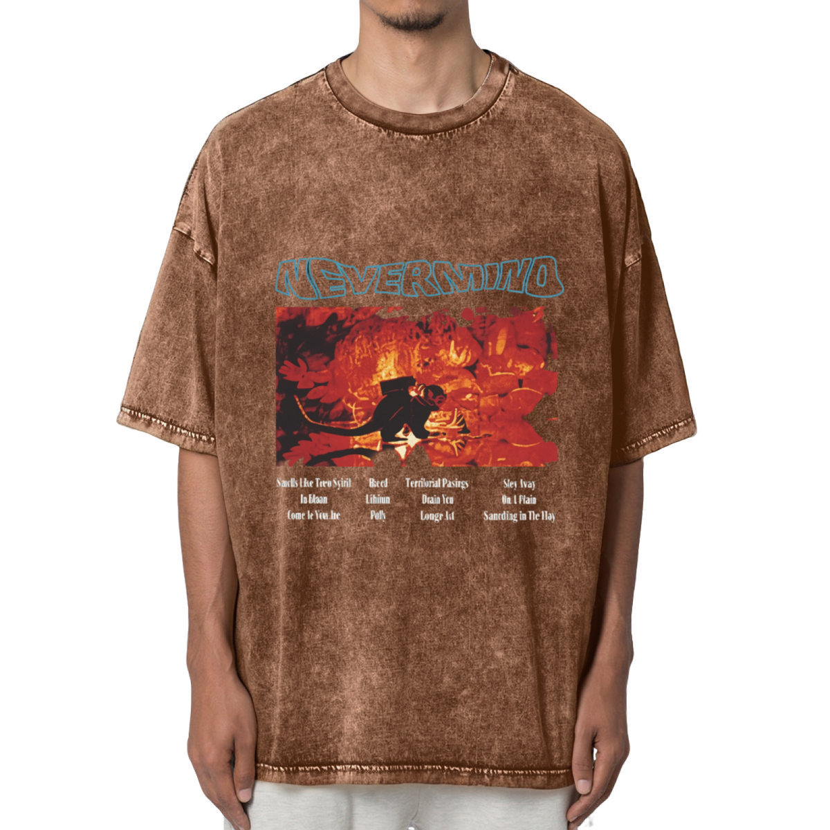 Nirvana Nevermind Concert Washed Graphic Tee
