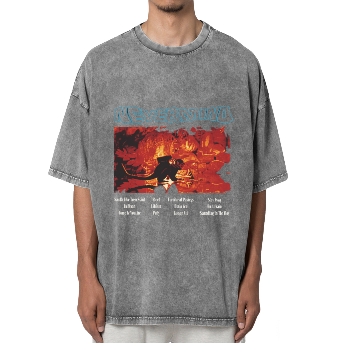 Nirvana Nevermind Concert Washed Graphic Tee