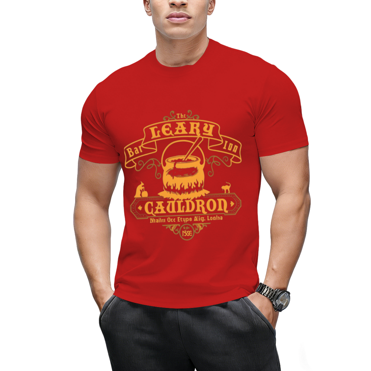 Leaky Cauldron Bar and Inn Graphic T-Shirt