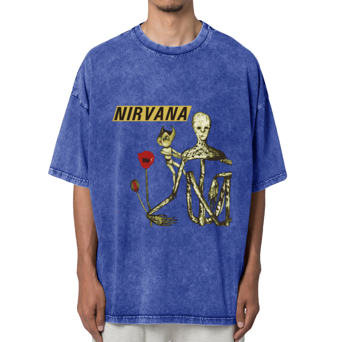 Nirvana Incesticide Album Washed Graphic Tee