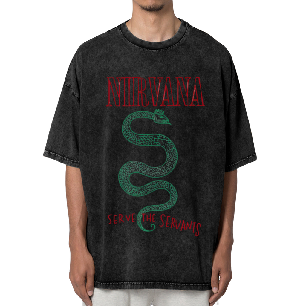 Nirvana Serve the Servants Washed Tee in Black, product image showing a Serve the Servants-themed design centered on green serpent artwork.