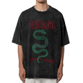 Nirvana Serve the Servants Washed Tee in Black, product image showing a Serve the Servants-themed design centered on green serpent artwork.