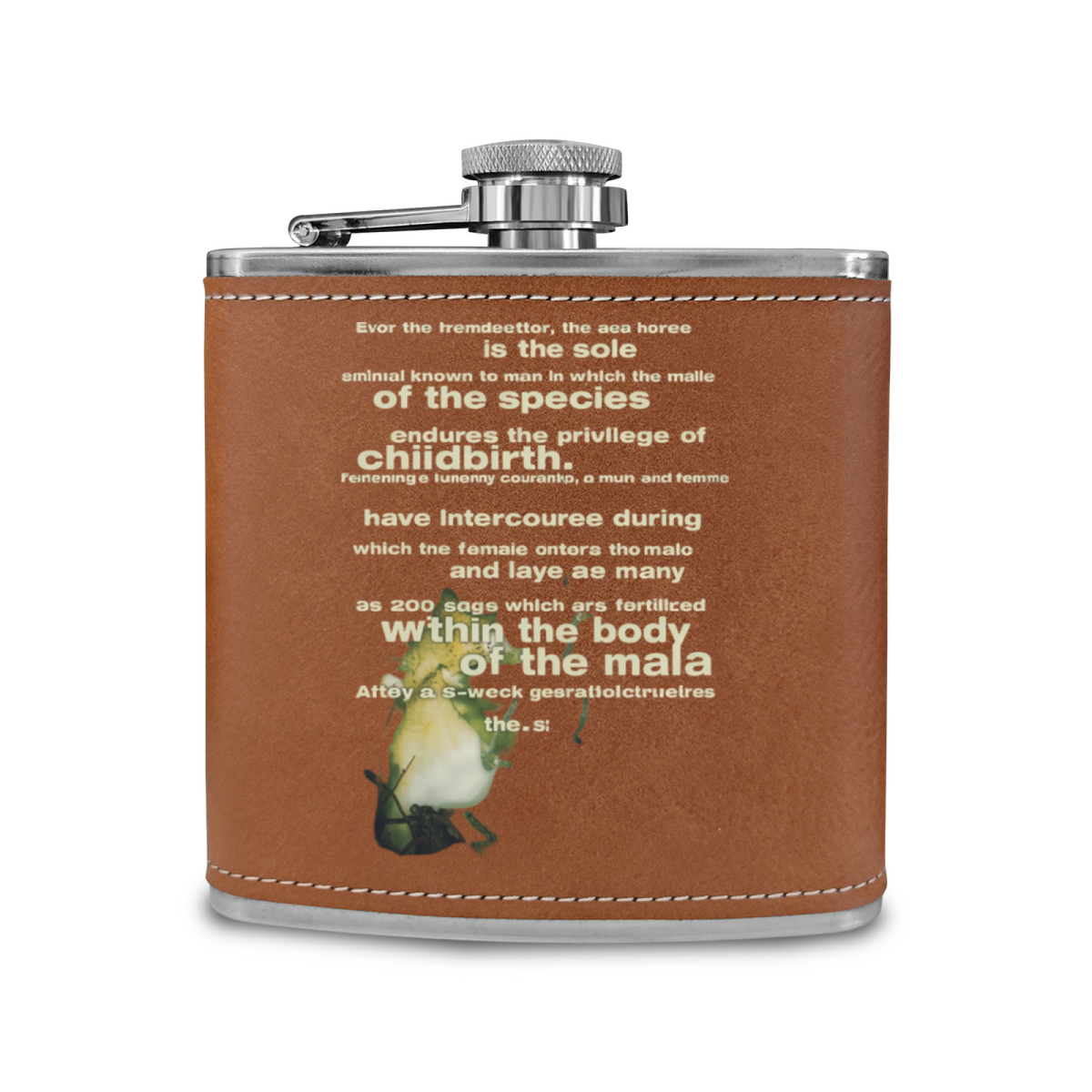 Nirvana Seahorse 6oz Vintage Stainless Steel Hip Flask