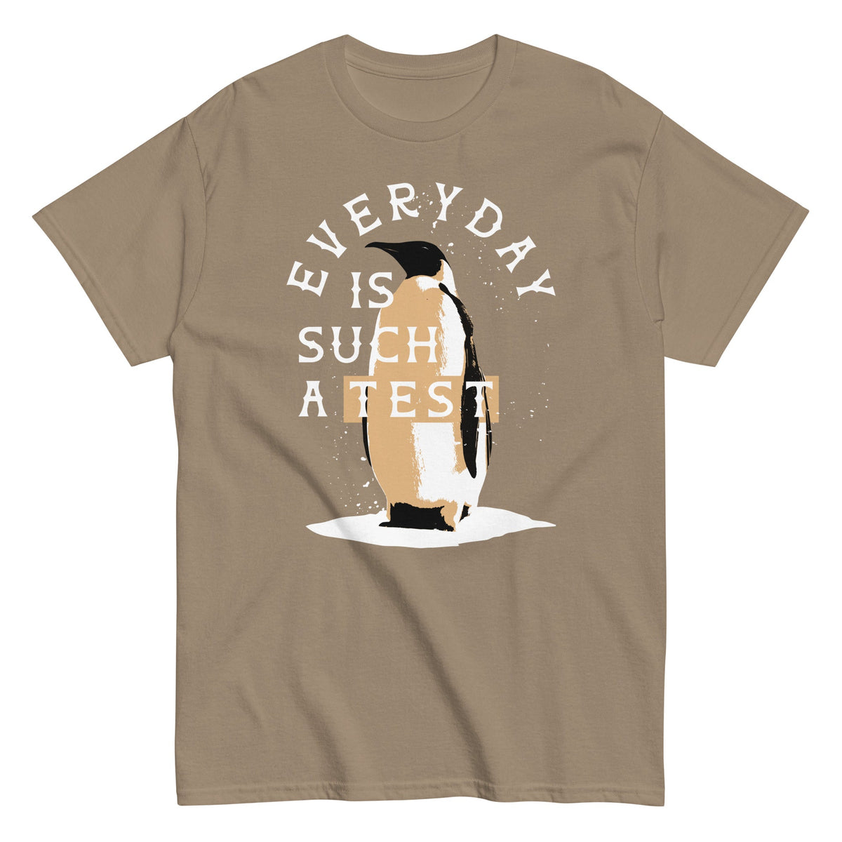 Everyday Is Such A Test Men's Classic Tee