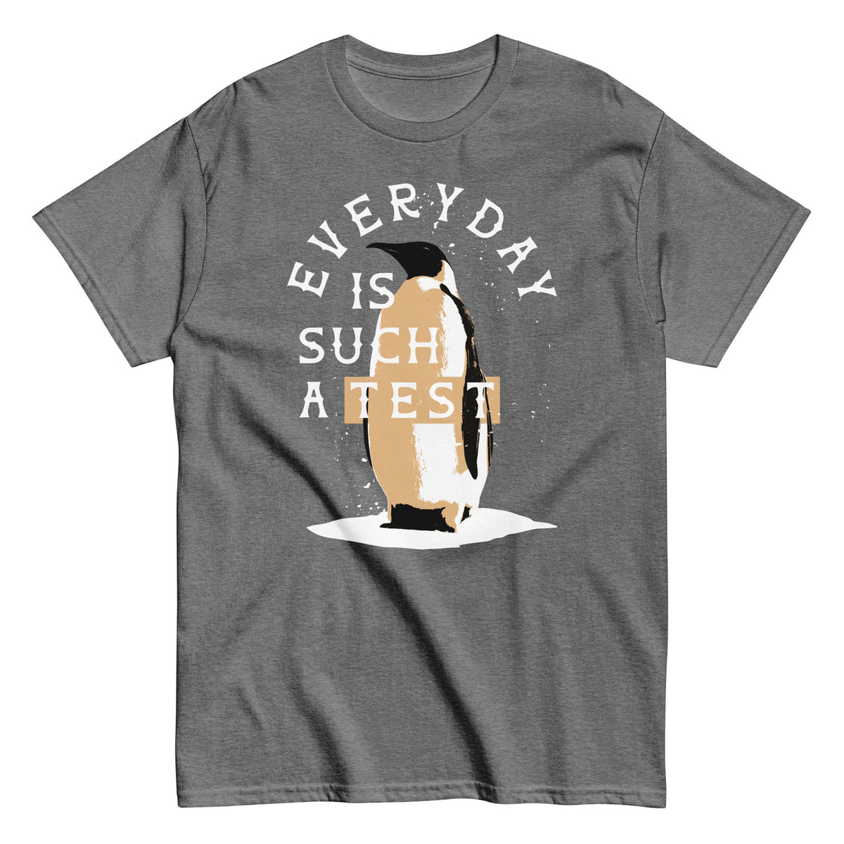 Everyday Is Such A Test Men's Classic Tee
